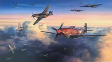 Ace of Diamonds by Nicolas Trudgian autographed by WWII Mustang Aces picture