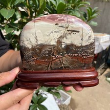 680G   Beautiful Natural Chinese Dendritic Limestone Picture Stone Guohua-Rare picture