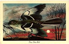 Vintage Postcard- Mockingbird, TX picture