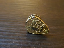 Vintage National Park Service NPS Arrowhead Logo Lapel Pin Gold Tone picture