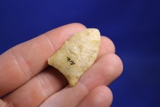 Authentic Prehistoric Arkabutla Arrowhead Artifact Native American Indian picture