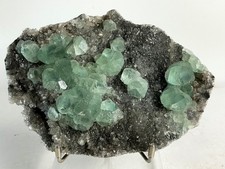 Fluorite on Quartz Matrix Yaogangxian Mine Hunan China 1060 grams picture