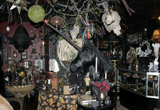 Enormous Haunted & Paranormal Estate Collection Liquidation Custom Mystery Item picture