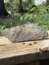 Large Fern Fossil Specimen- Natural 7” Double Fern Leaves Fossil Impressions picture