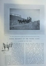 1895 Horses Horse Progress on Pacific Coast Horse Racing illustrated picture
