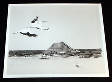 Walt Disney World 1969 Vintage PHOTO Polynesian Resort + Publicity Concept Art picture