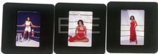 4 Laila Ali Mohammad Boxer Harry Langdon Original Transparency w/rights Lot 125F picture