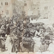 Bethlehem Stereoview Underwood & Underwood 1900 Palestine Camels picture