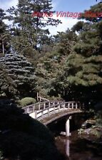 Vtg 1950's Photo 35mm Slide Japan Kyoto Old Imperial Palace Gardens  p100 picture