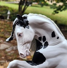 Custom Breyer CM Traditional Spanish Andalusian Lusitano Laredo picture