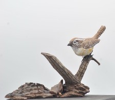 life size Carolina Wen Wood Scuplture/Carving picture