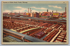 Postcard Section of Union Stock Yards Chicago Illinois Linen picture