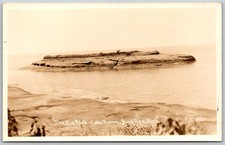 1940s RPPC The Big Rock Lake Huron Bad Axe Michigan VINTAGE Postcard 8955 picture