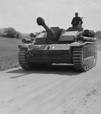 WW2 WWII Photo German StuG III Ausf. G Assault Gun Finland World War Two 4326 picture