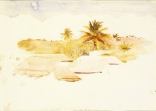 Abbott Handerson Thayer 1920s Vintage West Indies Landscape Photo Reprint Wall A picture