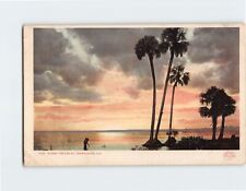 Postcard Sunset on the St. John's River Florida USA North America picture