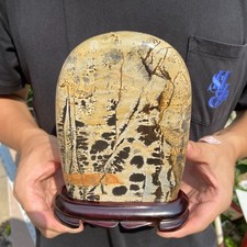 3lb Rare Natural Dendritic Limestone Chinese painting stone mineral specimen picture