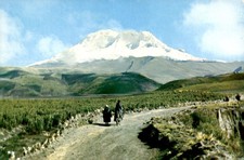 Chimborazo: The Sultan of the Andes, 1970 Postcard picture
