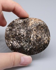 Large Golden Astrophyllite cabochon with rough surface, Kola Peninsula 61x50 mm picture