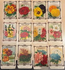 Lot of 12 Vintage William D Burt Seed Packets Envelopes in Color - Circa 1920 picture