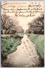 1907 Cherry Blossom Koganei Tokyo River Scene ANTIQUE Postcard 9838 picture