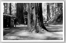 Lane's Redwood Flat Store Highway c1930's California CA RPPC Real Photo Postcard picture