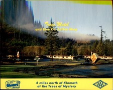 Klamath CA Trees Motel Natural Color by Mike Roberts c1950s-60s Vintage Postcard picture