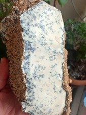 NATURAL DENDRITIC ROUGH – 2300 GRAMS – TURKEY – LAPIDARY & COLLECTOR SPECIMEN picture