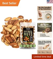 Wild Harvested Raw Brazil Nuts, 16oz – Nutritious Snacking with Sustainability picture