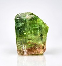 16ct | Natural Bi-Color Tourmaline Crystal Gemmy Specimen - Afghanistan picture