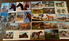 Big Lot of 31 Vintage Animal Postcards with Horses & Ponies~23 Unused~h653 picture