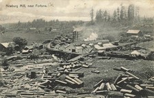 1908 Newburg Mill Fortuna California Logging Sawmill Steam Train Postcard Bowman picture