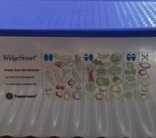 TUPPERWARE FRIDGESMART CONTAINER 3995 blue lid Fridge Smart Produce Bread Fruit picture