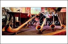 *2013*  ALPHORNS: SWISS NATIONAL INSTRUM   17