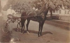 J80/ Interesting RPPC Postcard c1910 Horse Sulky Rider Race Man 249 picture