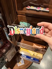 New 2026 Disneyland Fridge Magnet picture