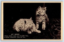 c1910's Cute Cat Kittens At Home From Every Care And Trouble Free Postcard picture