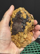 1 lb 3 oz Gold and Silver Ore Specimen Historic California Mother Lode region. picture