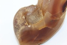 Striking Large Raw Amber Specimen Sample 6oz Total 3 1/8