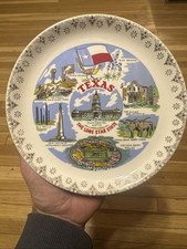 Vintage Texas State Souvenir Plate Cotton Bowl Alamo Capitol Landmark Decor picture