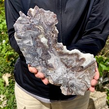 1.26LB Natural Crazy Lace Agate Slice Polished Rough Mineral Specimen Crystal Ho picture