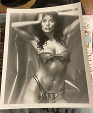 Apollonia Kotero Irving Klaw Archives Movie Star News Vintage Photo 8x10 #9 picture