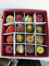Vintage Holiday Time Sugared Beaded Fruit Christmas Ornaments Set of 16 – In Box picture