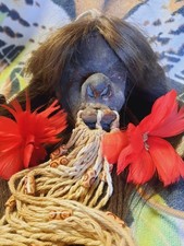 MUSEUM QUALITY SHRUNKEN HEAD REPLICA, AMBIGUOUS, JIVARO, CEREMONIAL TSANTSA  picture