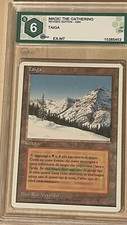 Taiga - FWB - ITALIAN REVISED - EX-MN excellent-mint - GRADED 6 GRADE (PSA eq) picture