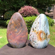 5.8LB 2pcs Natural Marine jasper quartz crystal free form mineral specimen picture