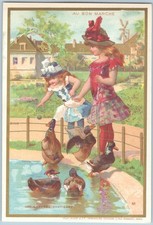 Lrg French Victorian Trade Card AU BON MARCHE DRESSY GIRLS VISIT DUCKS AT ZOO picture