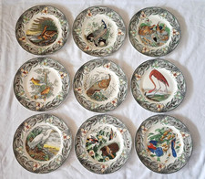 ADAMS John James Audubon THE BIRDS OF AMERICA Vintage Plates (Set of 9) picture