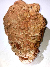 1x Large Oregon Thunderegg Rough (5Lbs) Lapidary Rocks DzD(T-EggUC#013)BulkGeode picture