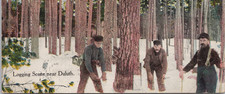 Postcard Duluth Minnesota Logging Scene Posted 1909 picture